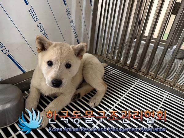 한국동물구조관리협회_441406202401936
